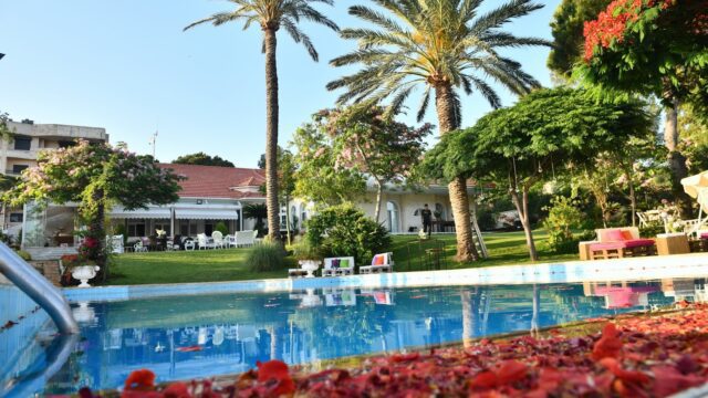 a pool with palm trees and a house with a lawn and chairs