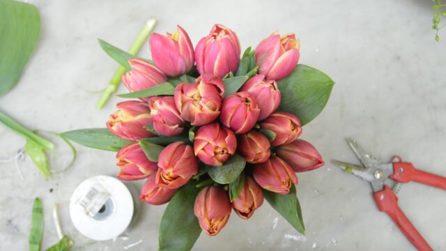 a bouquet of pink tulips and a tape