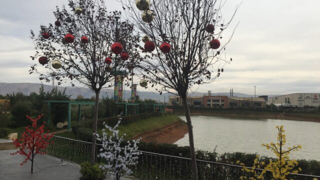 a tree with ornaments on it