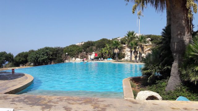 a pool with trees and rocks in the background