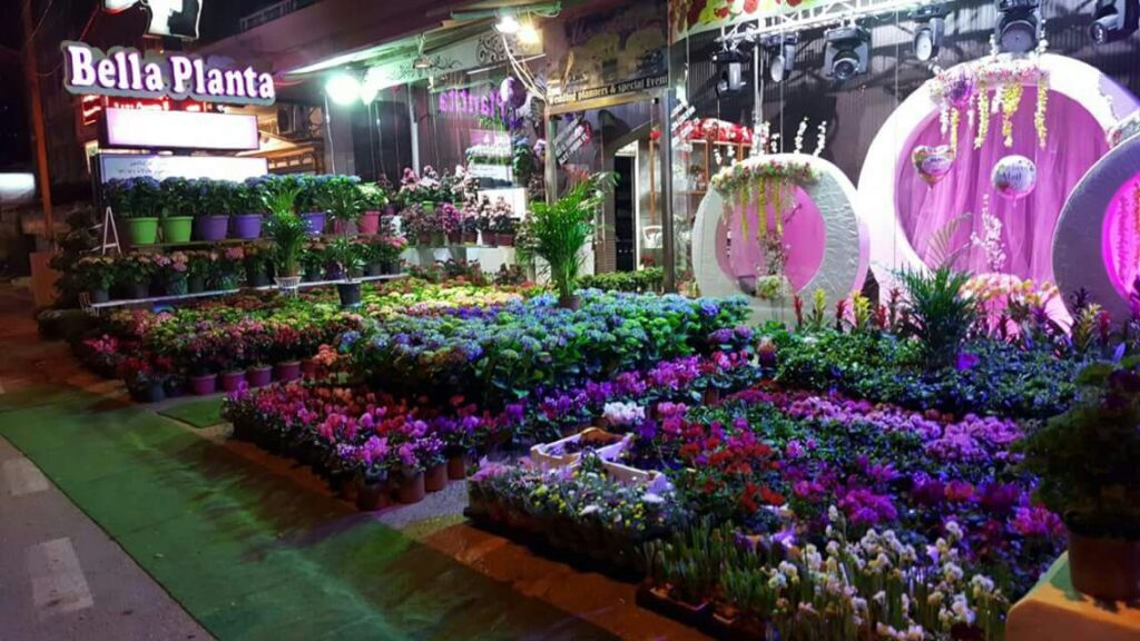 a flower shop with many plants