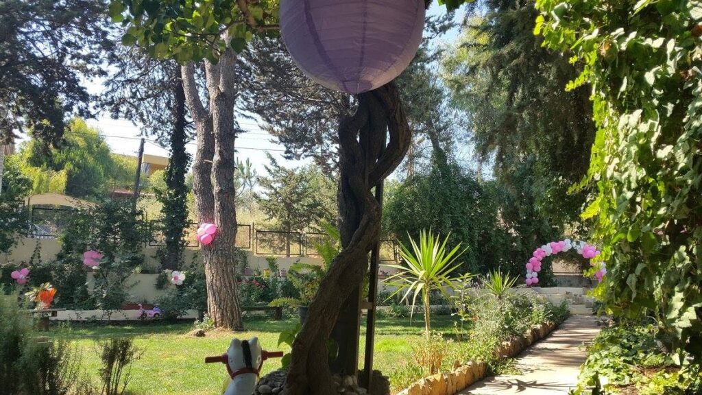 a purple ball on a tree