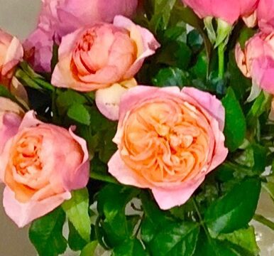 a bouquet of pink roses