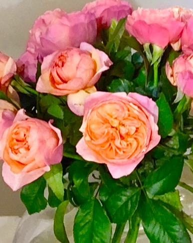 a bouquet of pink roses