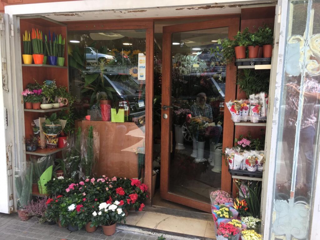 a flower shop with a door and a couple of potted plants