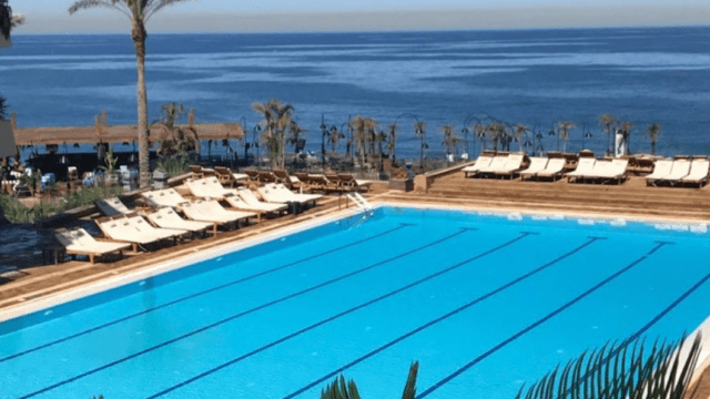 a swimming pool with chairs and palm trees