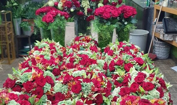 a group of flowers in a flower shop