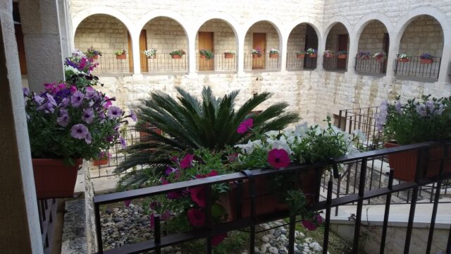 a courtyard with a group of flowers