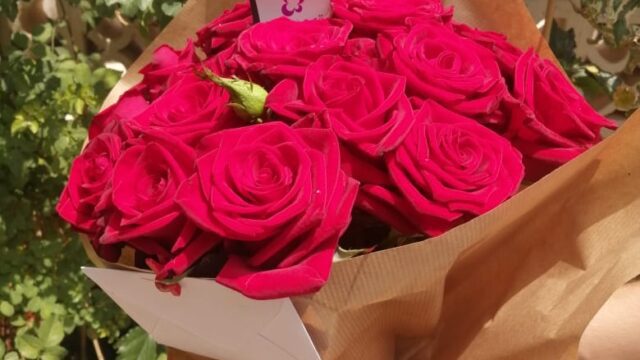 a hand holding a bouquet of roses