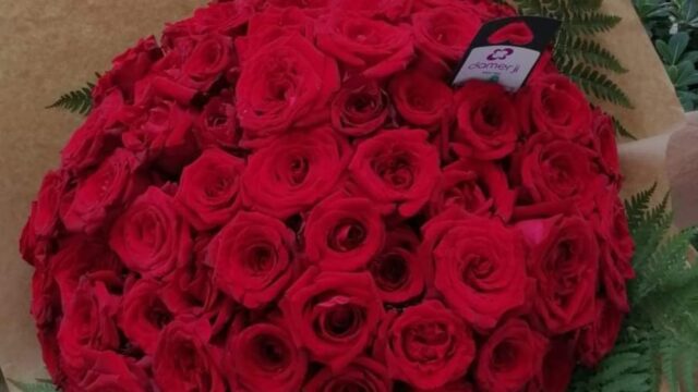 a large bouquet of red roses