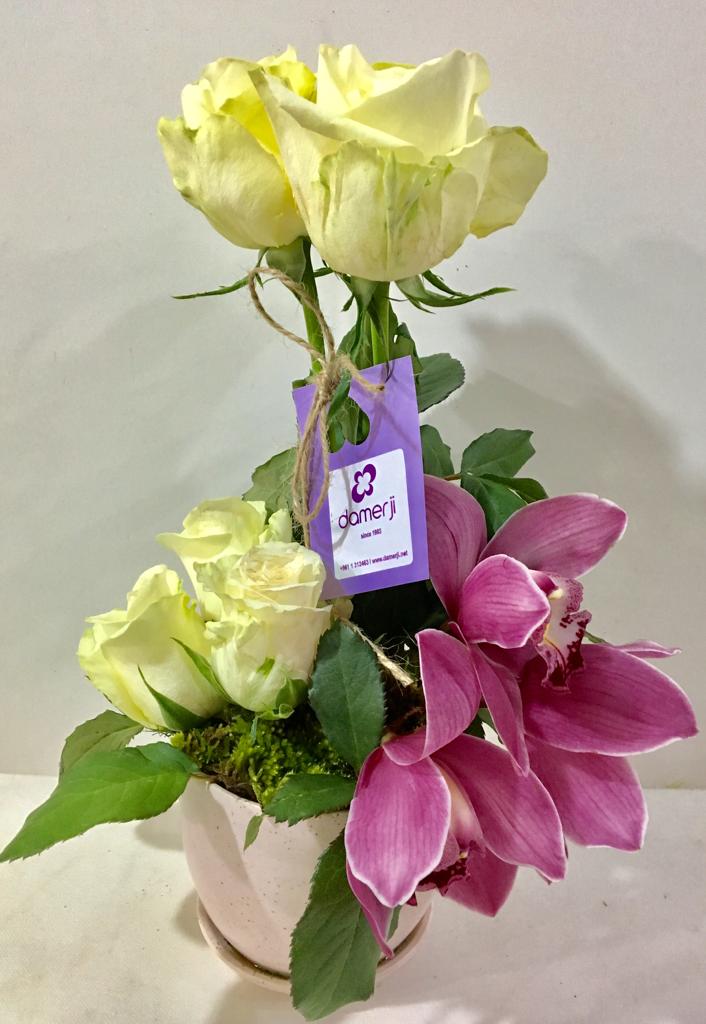 a group of flowers in a pot