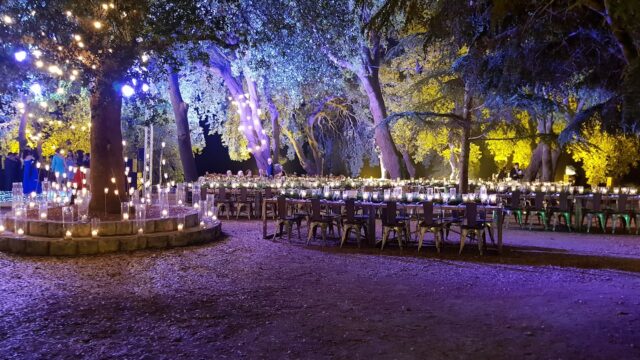 a group of tables and chairs with lights in the trees