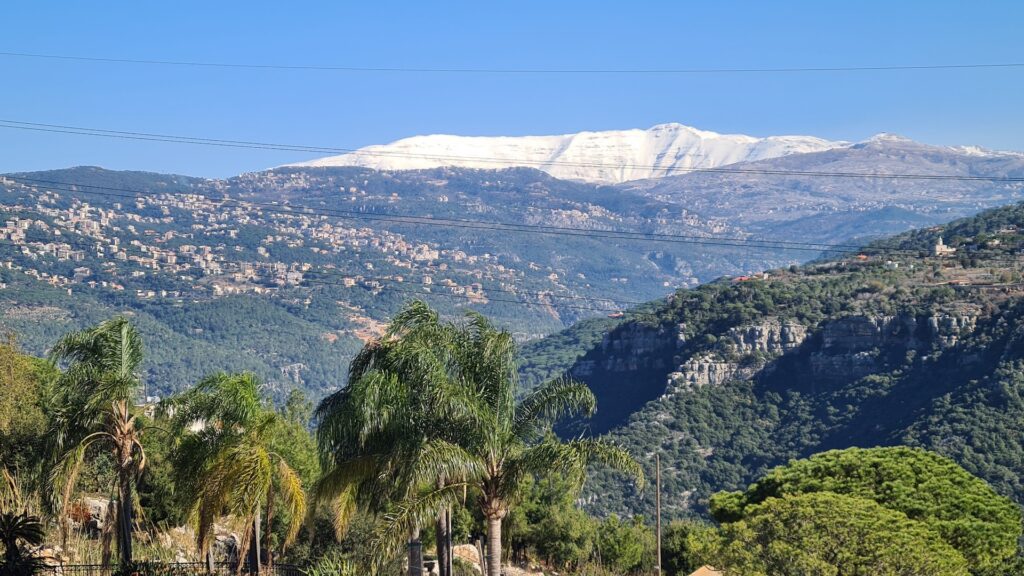 a mountain range with trees and a snowy mountain in the background