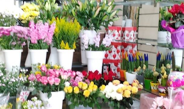 a group of flowers in buckets