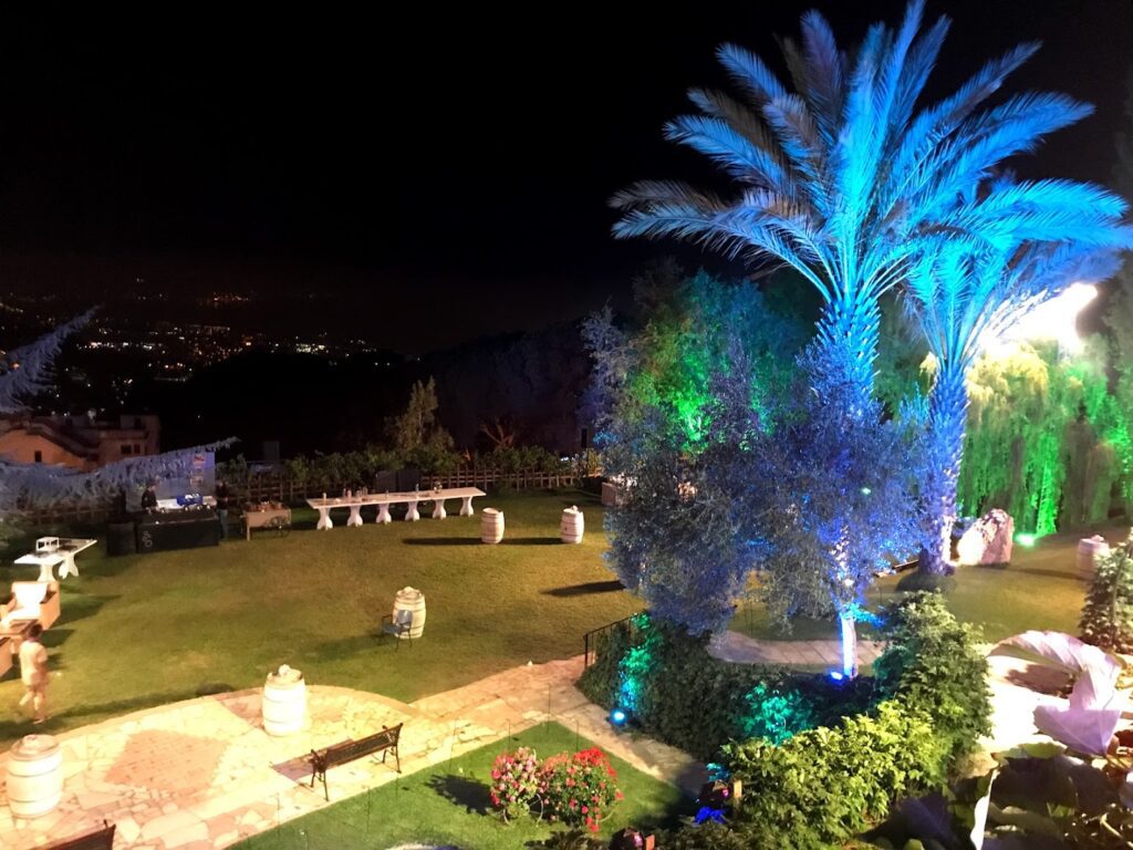 a palm trees and a lawn at night