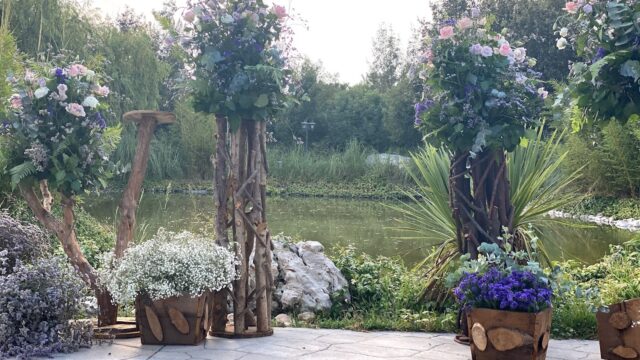 a group of flowers on a patio