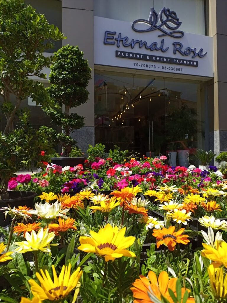 A flower bed of Eternal Rose flowers outside a store.