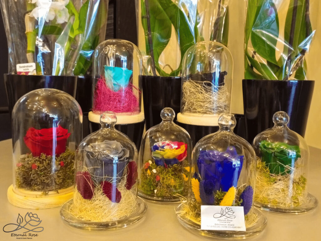A group of glass bell jars with Eternal Rose flowers inside.