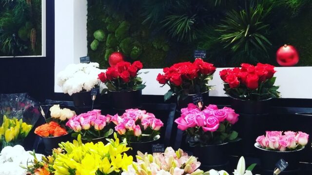 a group of flowers in a store