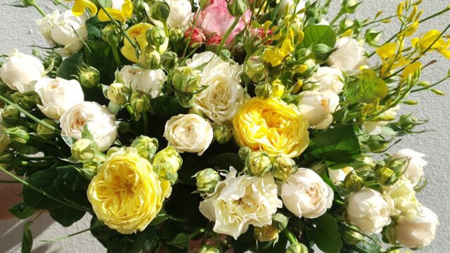 a bouquet of flowers in a hand