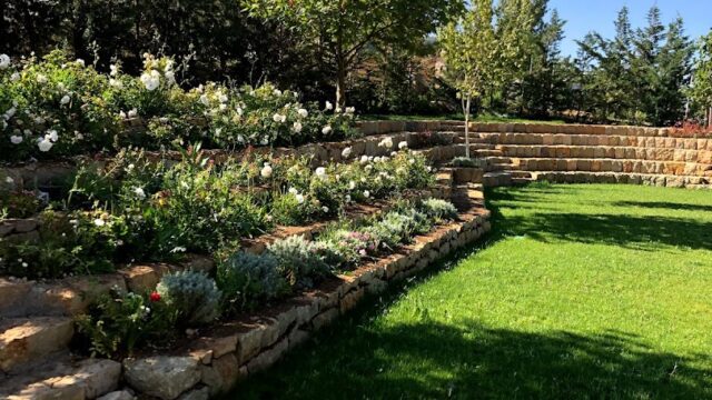 a stone stairs leading to a garden