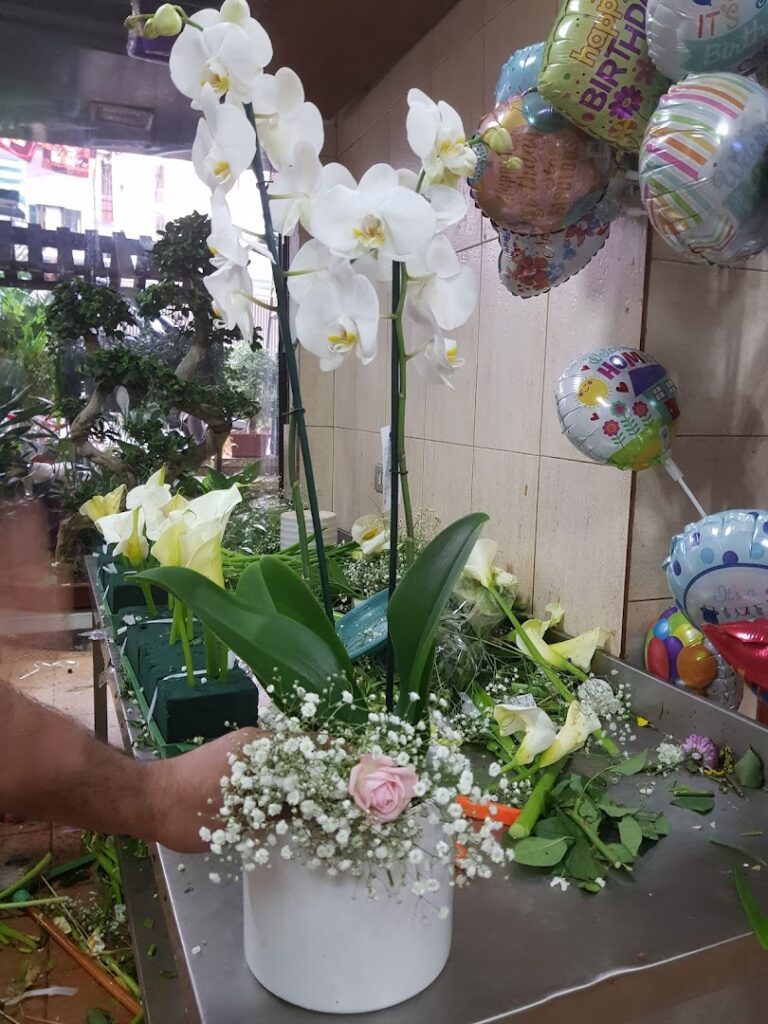 a person holding a white flower pot with flowers