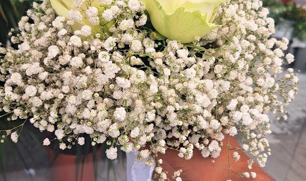 a hand holding a bouquet of white flowers