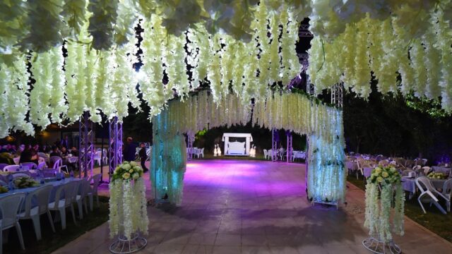 a white and yellow flower covered walkway