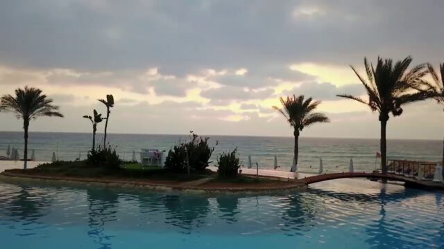 a pool with palm trees and a dock