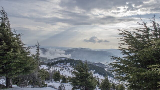 a snowy landscape with trees and mountains