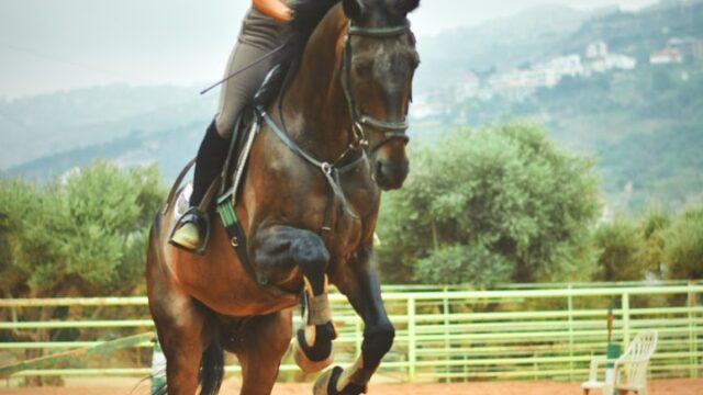 a woman riding a horse