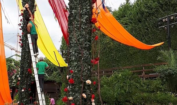 a man climbing up a tree