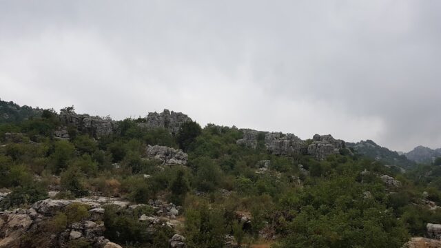 a rocky hillside with trees and bushes