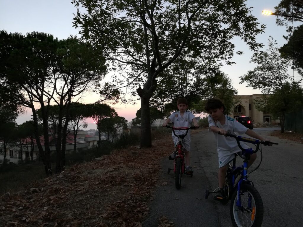 two boys riding bikes on a path