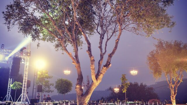 a tree with tables and chairs under a stage