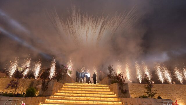 a group of people standing on a staircase with fireworks in the sky