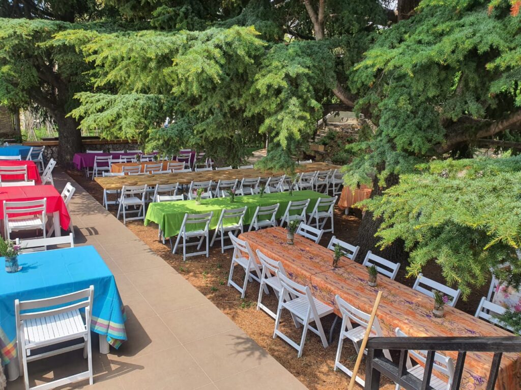 tables and chairs outside with tables and chairs under trees