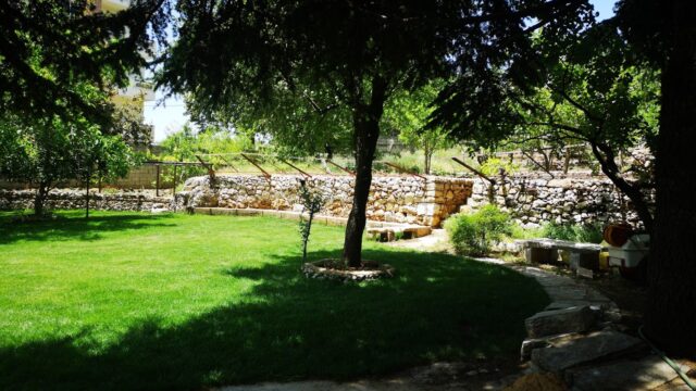 a grass field with trees and a stone wall