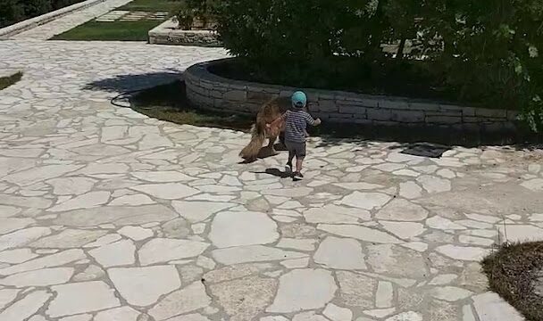 a child running on a stone path