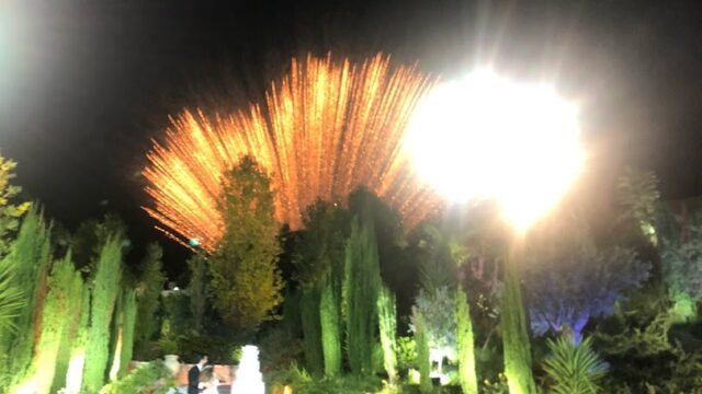 a group of people standing on stairs with fireworks in the background