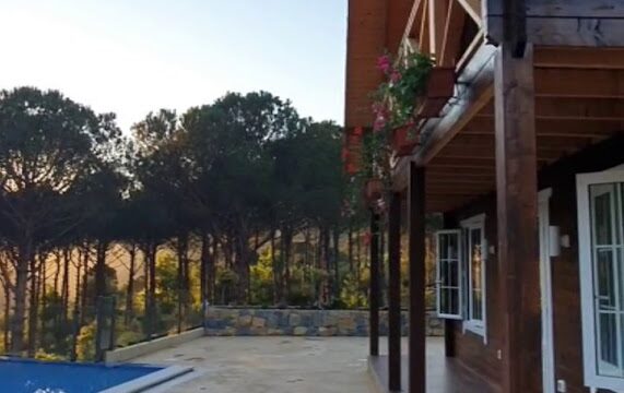 a house with a pool and trees in the background