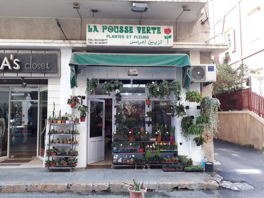 a store front with plants on shelves