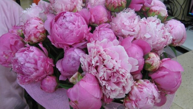 a bouquet of pink flowers