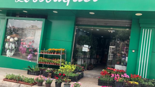 a green store front with many potted plants