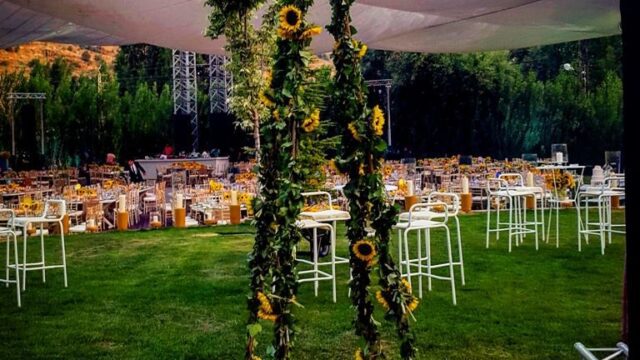 a group of tables and chairs in a field with tables and chairs