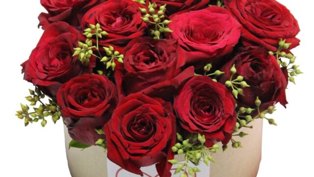 a box of red roses