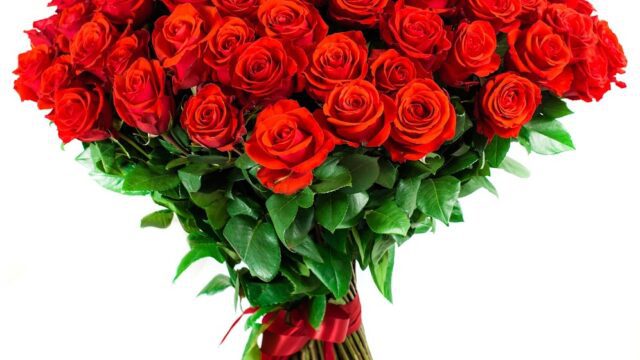 a bouquet of red roses