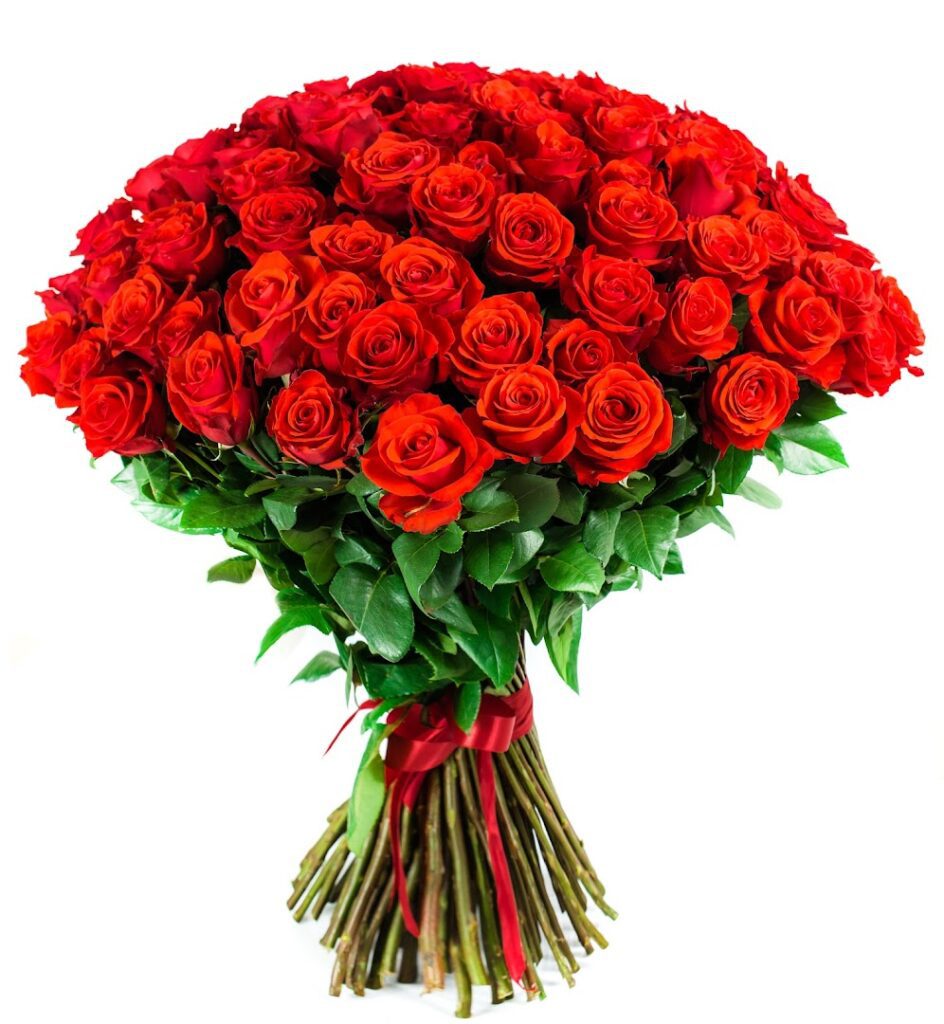 a bouquet of red roses