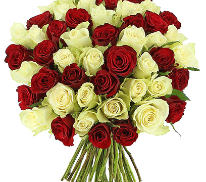 a bouquet of red and white roses