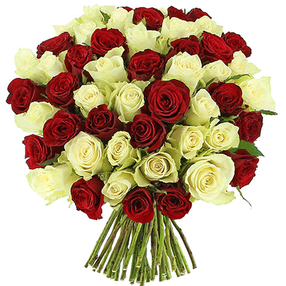 a bouquet of red and white roses